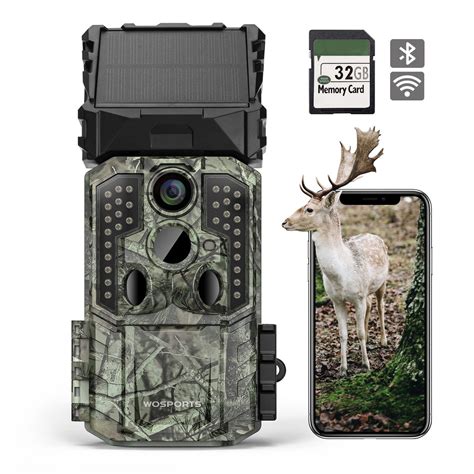 Trail cam Search